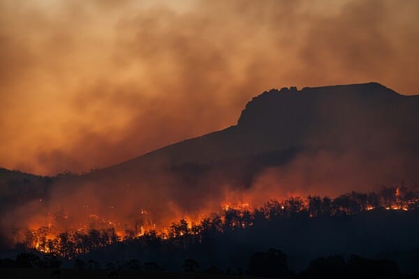 Según PIB Group Iberia y el CPF, menos del 5% de la masa forestal catalana está asegurada frente al riesgo de incendios